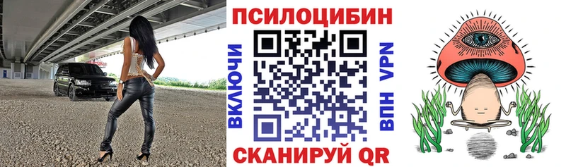 Купить  Южно-Сухокумск  Галлюциногенные грибы GOLDEN TEACHER 